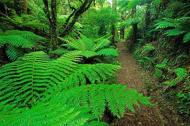 Rocksteady联合创始人在英国伦敦成立新工作室